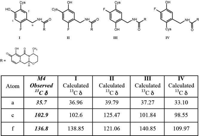 Fig 5