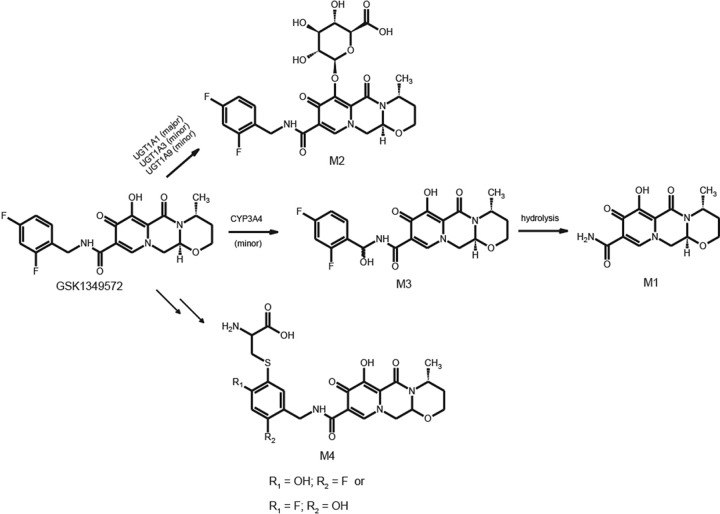 Fig 6