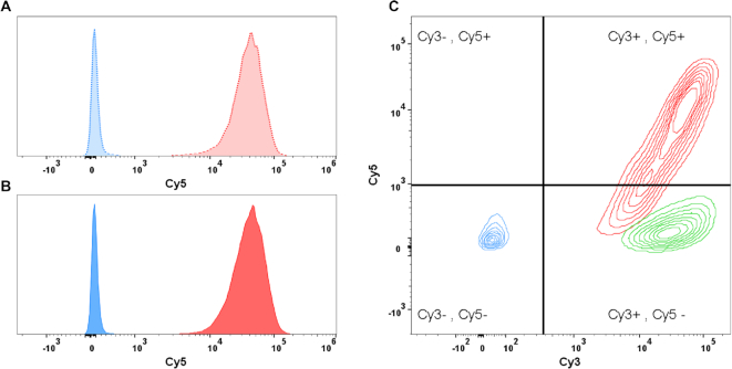 Figure 2.