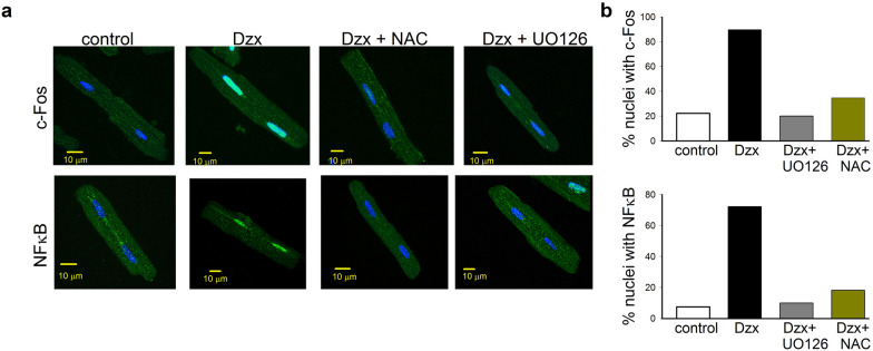 Fig. 6