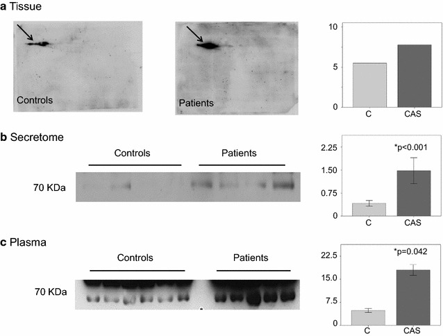 Fig. 4