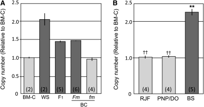 Figure 6 