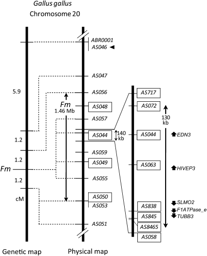 Figure 3 