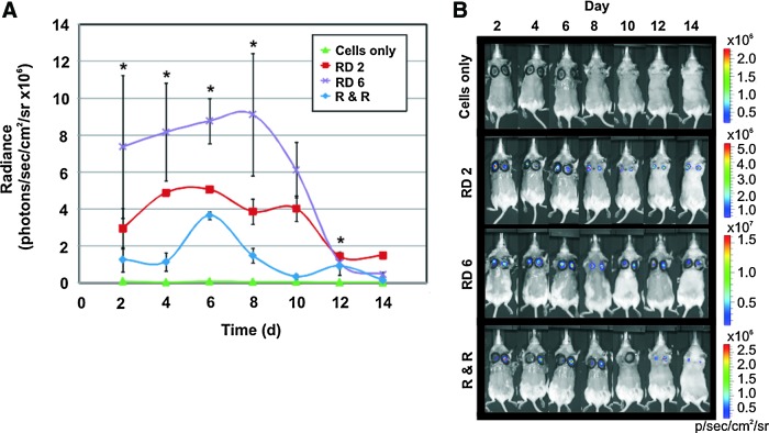 FIG. 2.