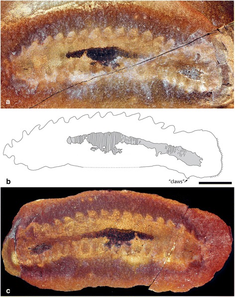 Fig. 3