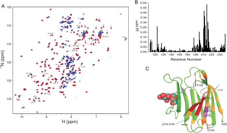 Fig. 3.