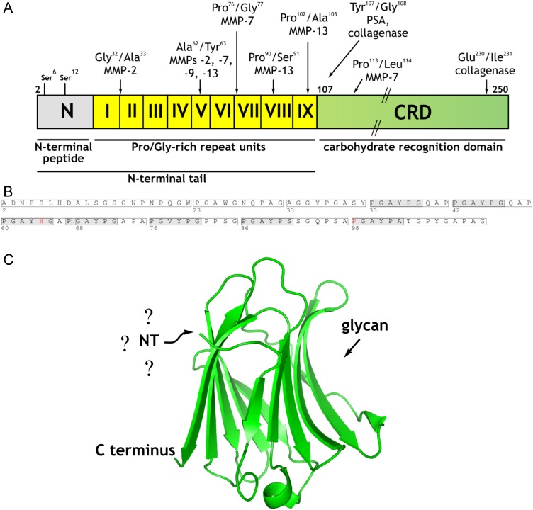 Fig. 1.