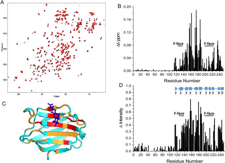 Fig. 10.