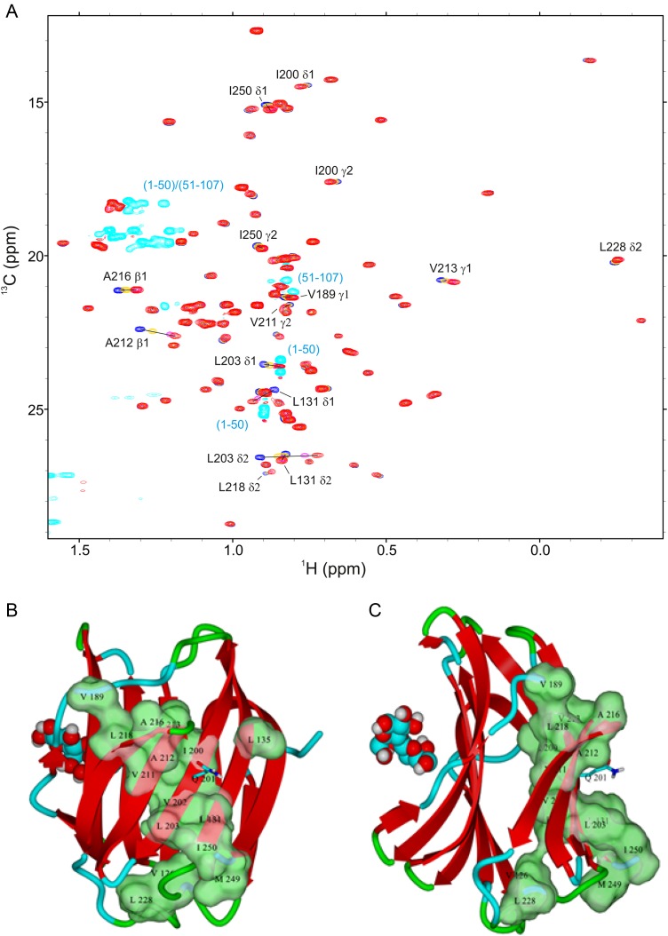 Fig. 7.