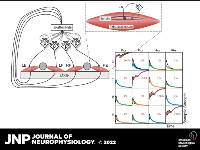 graphic file with name jn-00242-2021r01.jpg