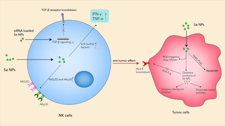 Figure 3