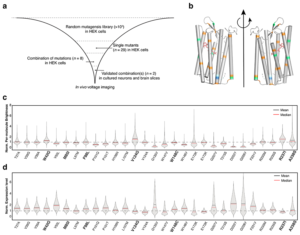 Extended Data Fig. 3.