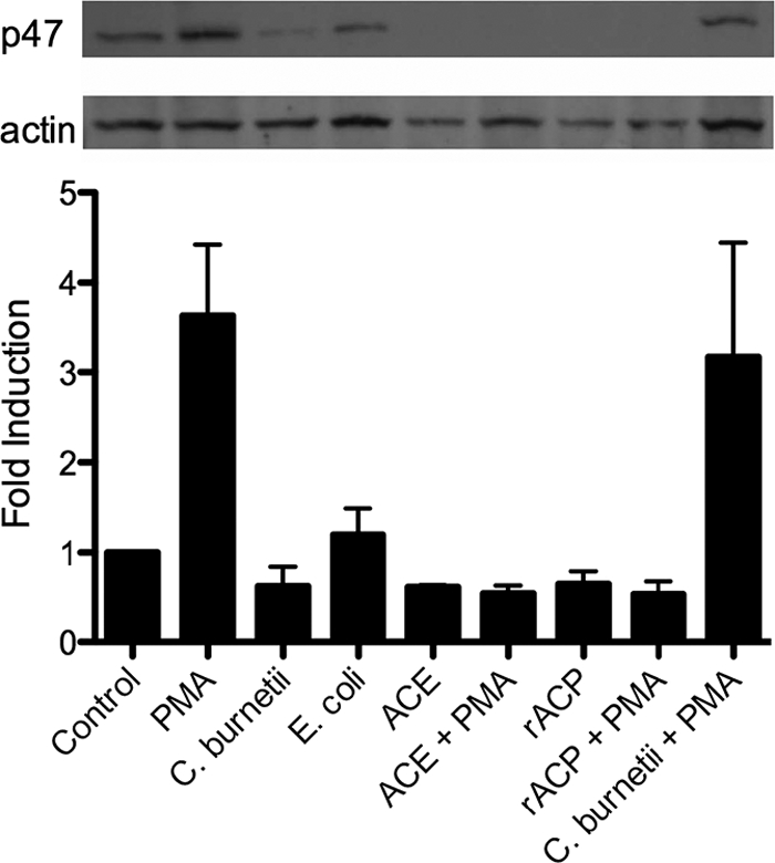 FIG. 7.