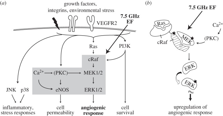 Figure 9.