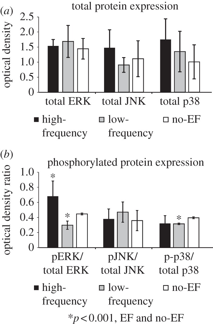 Figure 5.