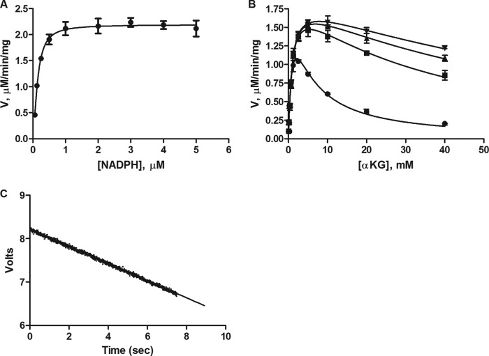 FIGURE 4.