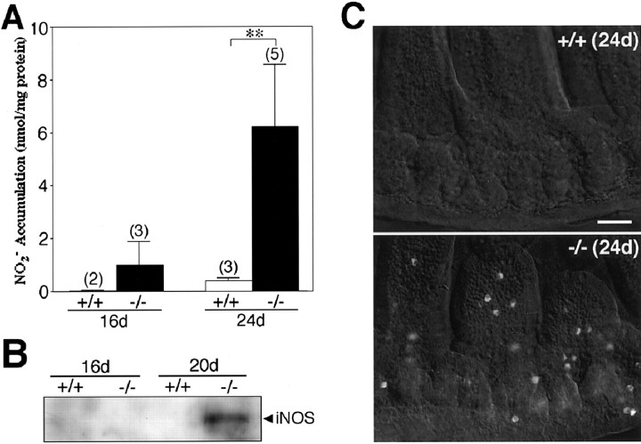 Fig. 9.