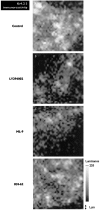 Fig. 8.