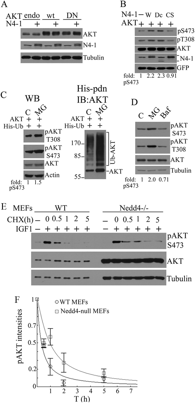 FIGURE 3.