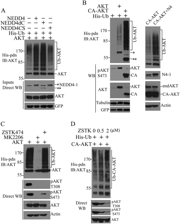 FIGURE 2.