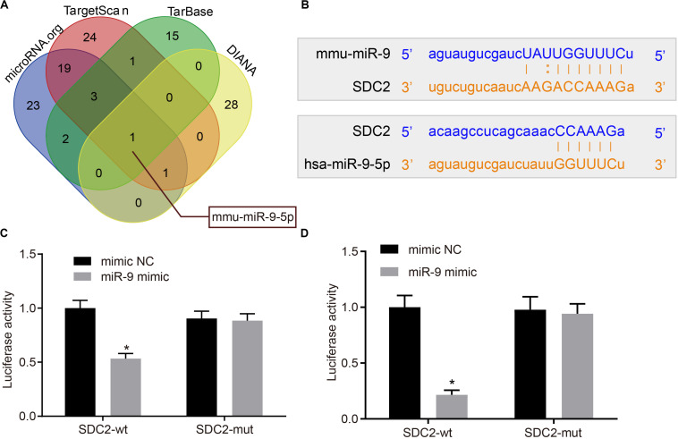 FIGURE 3