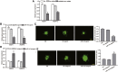 Figure 7