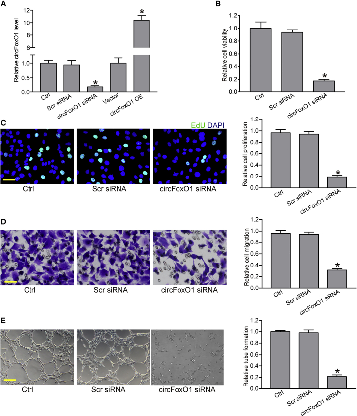 Figure 2