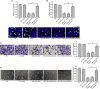 Figure 6