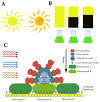 Figure 28