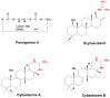 Figure 25