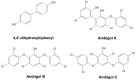 Figure 24