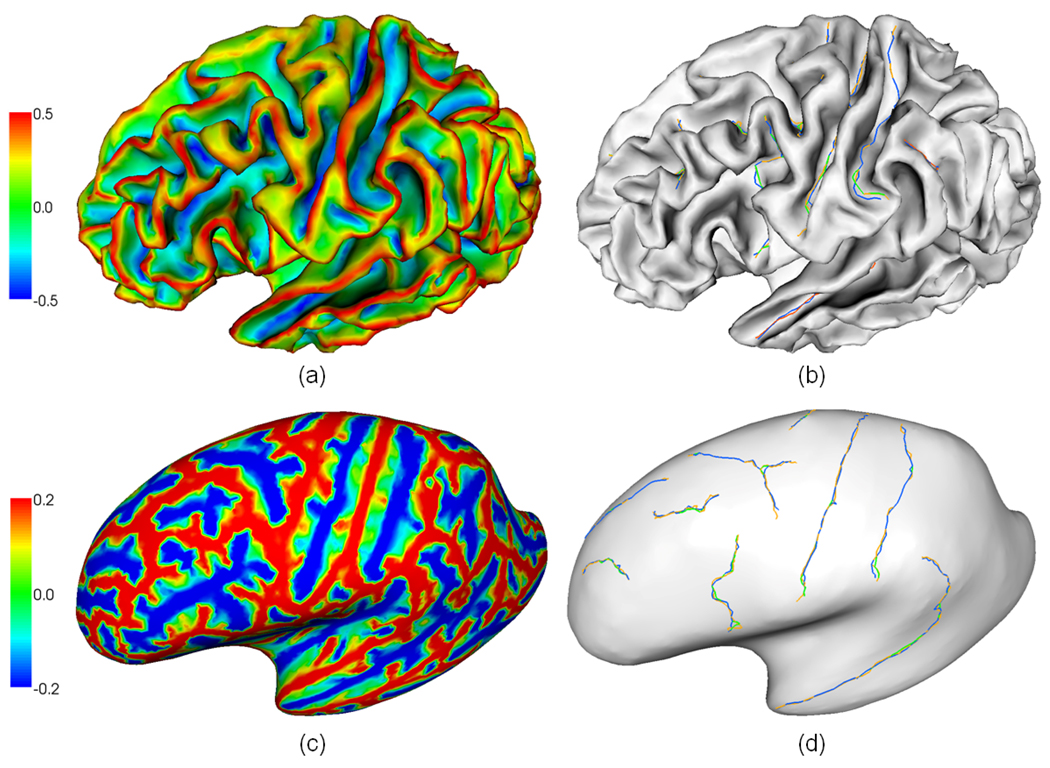 Fig. 15