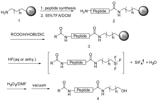 Scheme 1