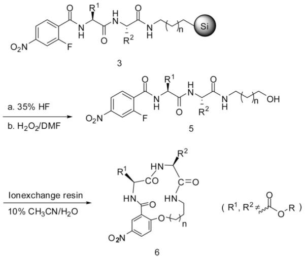 Scheme 2