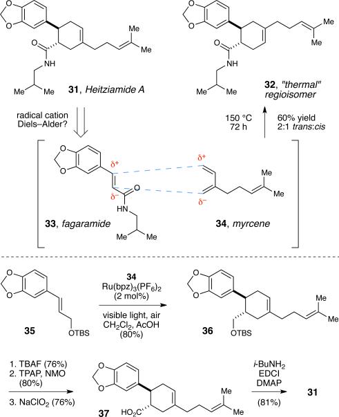 Scheme 2