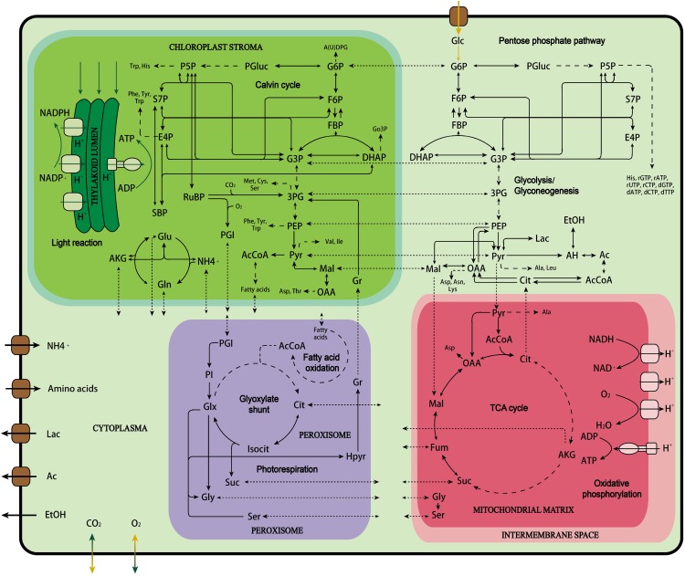 Figure 2.