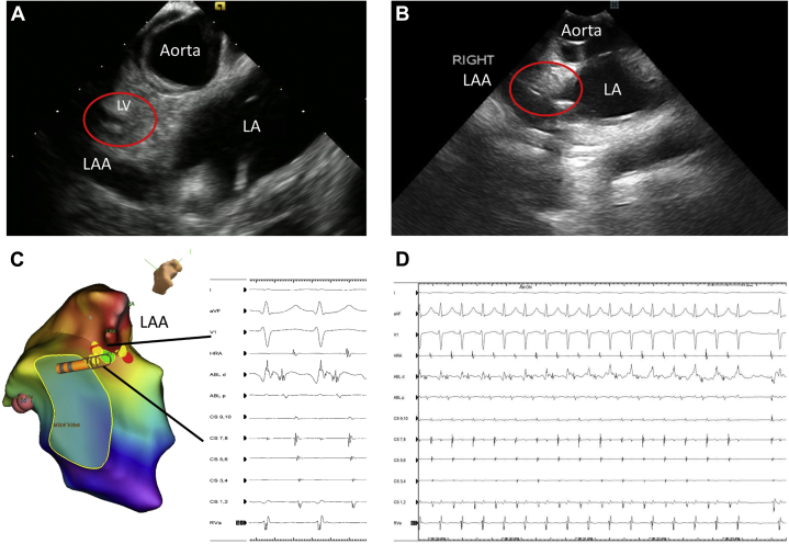 Figure 3