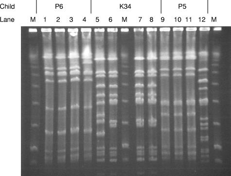 FIG. 1.