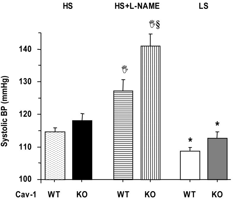 Fig.1