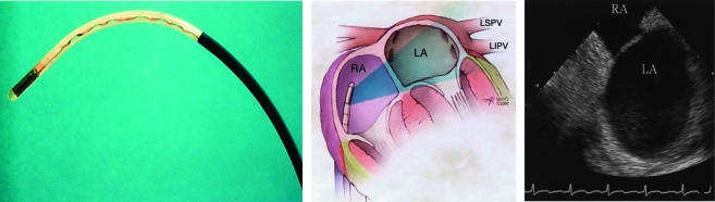 FIGURE 10.