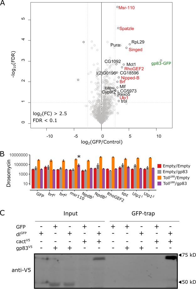 FIG 6