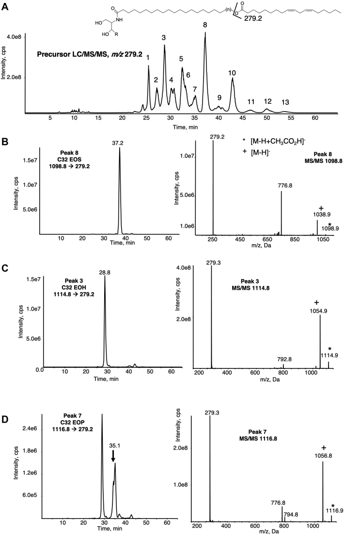 Fig. 1