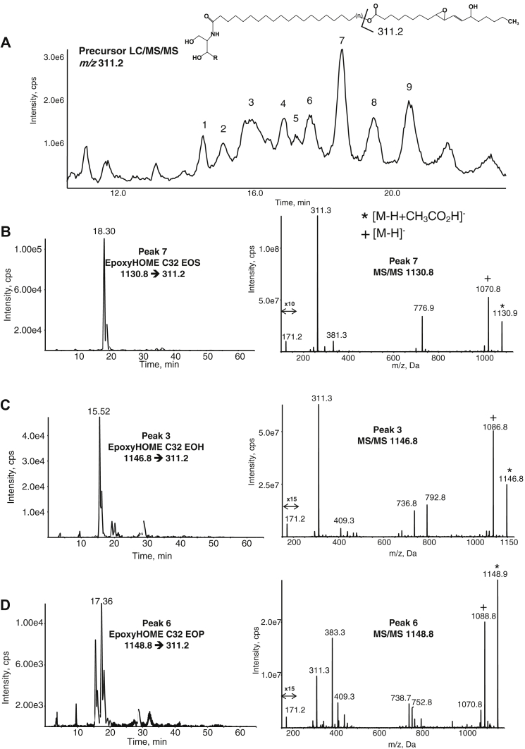 Fig. 2