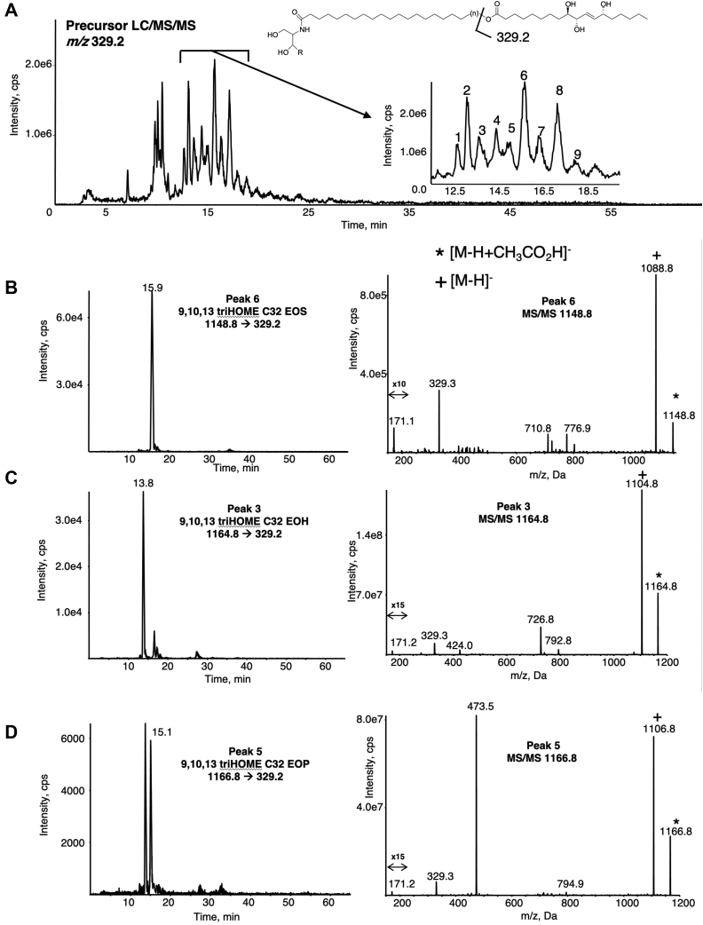 Fig. 4