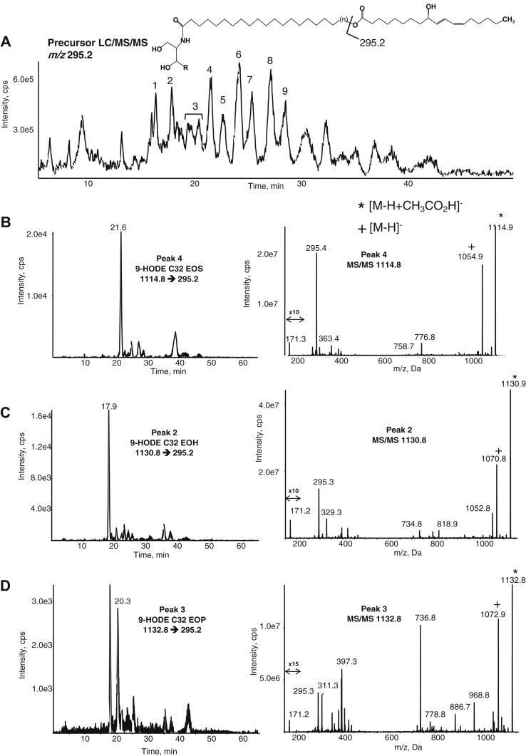 Fig. 3