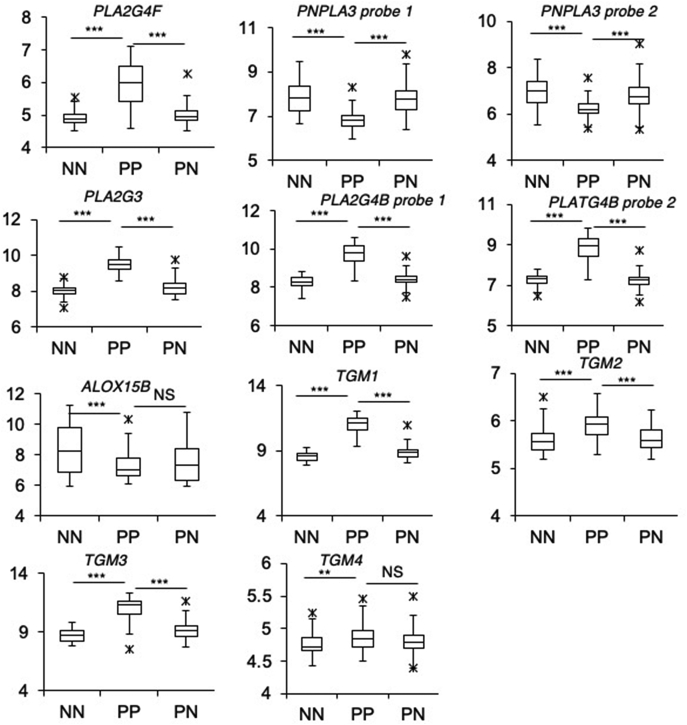 Fig. 10