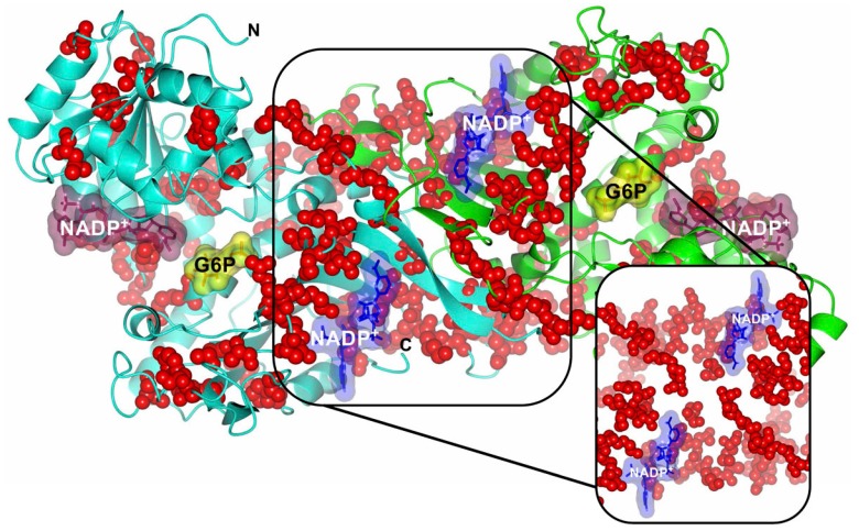 Figure 6