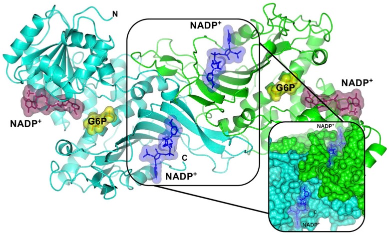 Figure 2