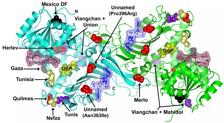 Figure 5