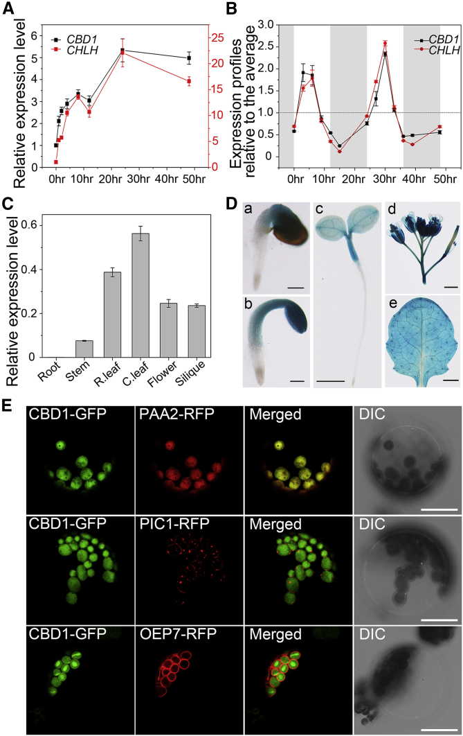 Figure 2